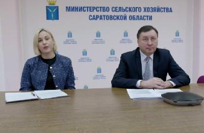 Саратовским аграриям рассказали о мерах господдержки